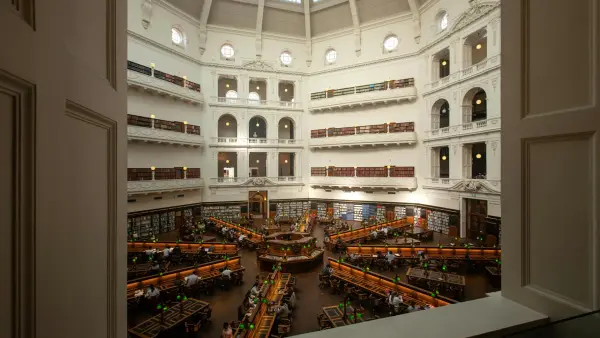 Master Your Studies with a Free Image Occlusion App